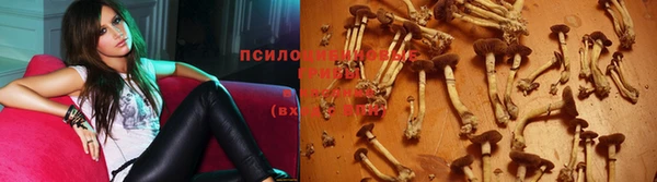 гидропоника Волоколамск