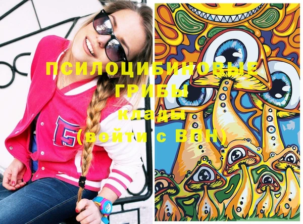 амф Елабуга