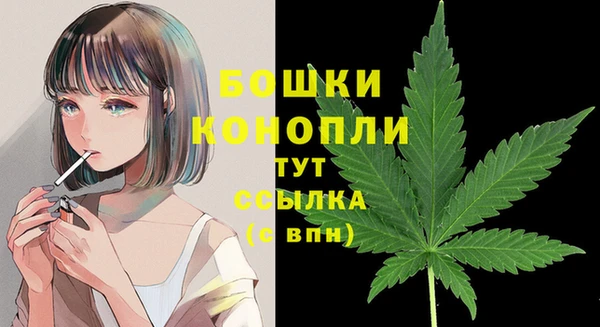 амф Елабуга