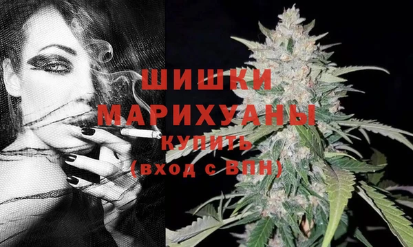 шишки Дмитров