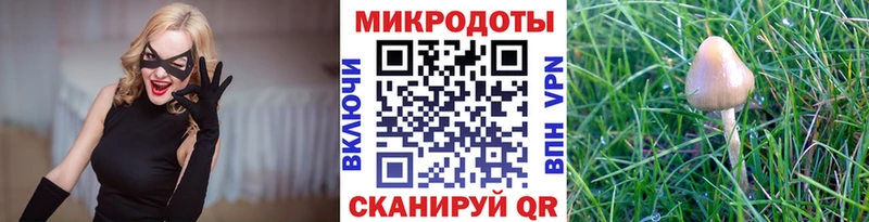 MEGA ССЫЛКА  Урень  Псилоцибиновые грибы Psilocybine cubensis 